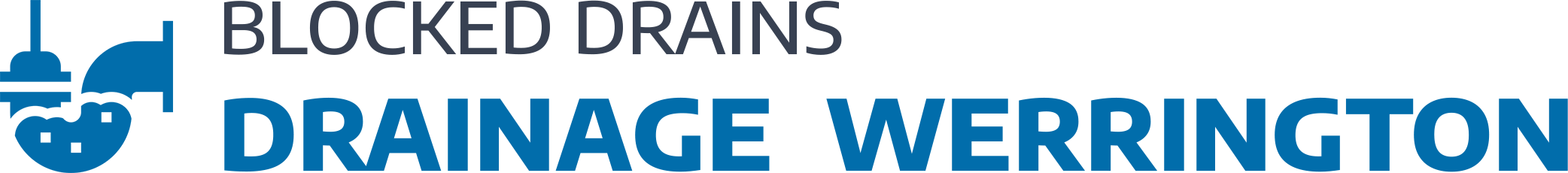 website logo